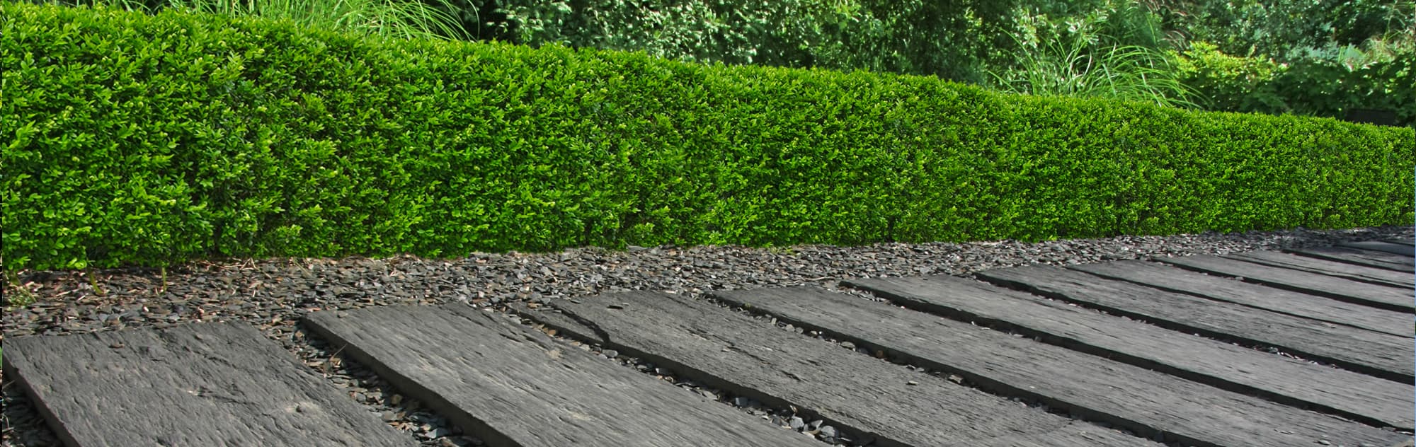 Aménagement de terrain, création d'allées