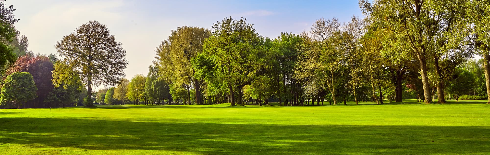 Entretien des espaces verts